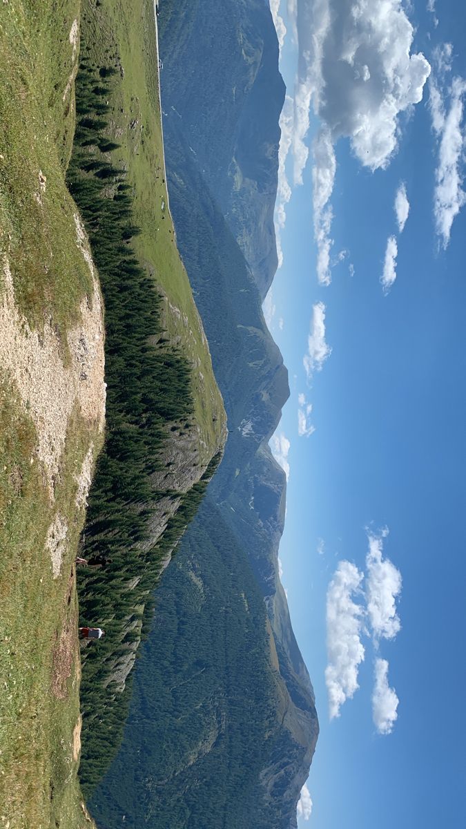 Feed image 4