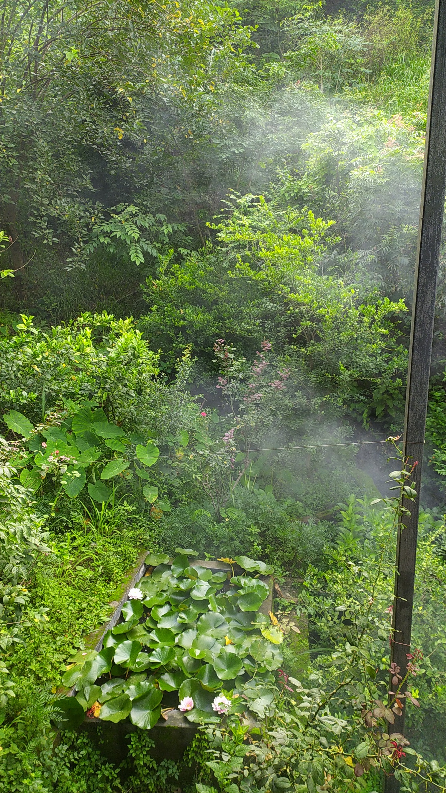 Feed image 5