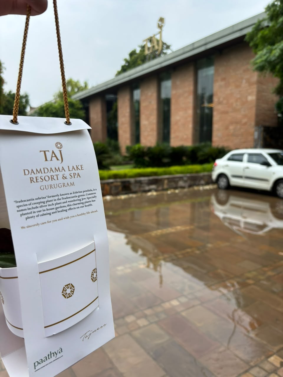 Feed image 1
